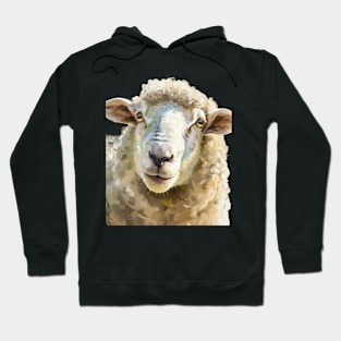 Sheep Wool Types Hoodie